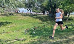 Featured image of post Borocross