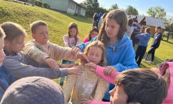 Featured image of post Blížíme se do konce!